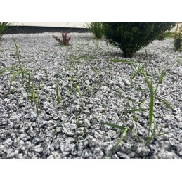 Agrowwoven anti piktžolių agrotekstilė 50g 3 2x10m