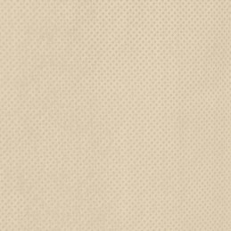 Žiemos apsauginis gaubtas augalams, apsauga nuo šalčio, 70g/m², 2,36x2m