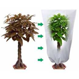 Apsauginis žieminis gaubtas, UV agrotekstilė, 50x80 cm