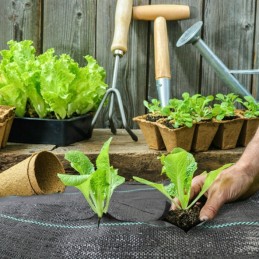 Agrotekstilė / agrotekstilė ant