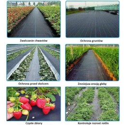 Agrotekstilė / agrotekstilė ant