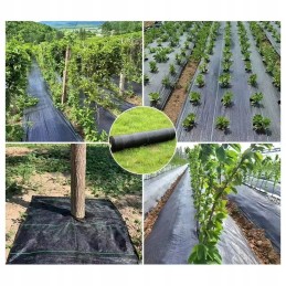 Juoda revento agrotekstilė 1,6 m x 50 m / 70g/m2 + inkarai 50 vnt.