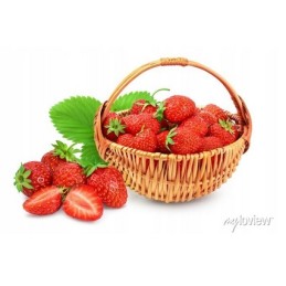 Juoda agrotekstilė sunrise premium uv90