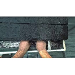 Gorilla vandeniui atspari plati juosta baseinams