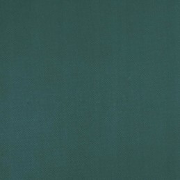 Vidaxl augintas dangos audinys 70 g m2 10x1 6 m