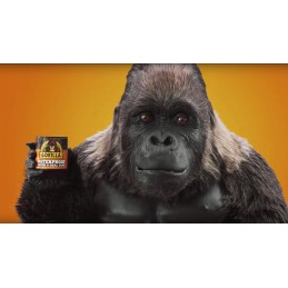 Gorilla vandeniui atspari plati juosta baseinams