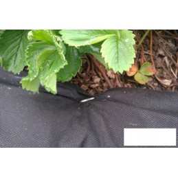 Plieniniai metaliniai kaiščiai agrotekstilei, agrotekstilei, kurmių tinkleliui ir kitiems tvirtinti - 500 vnt.