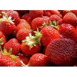 Šiame aukcione parduodame geriausios kokybės: