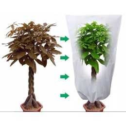 Žiemos apsauginis gaubtas agrotekstilė 80x50 cm uv