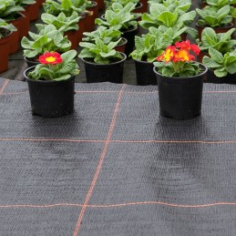 Polipropileno audinys agrola black 3.2mx 5m 100g/m2