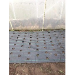 Kaip pateikti užsakymą