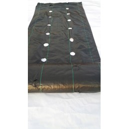 UV agrotekstilė su paruoštomis skylutėmis braškių, agurkų, salotų, pomidorų ir kt. sodinukams.