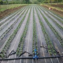 Agrotekstilė piktžolės 40cm x 100m storis 70g m2 uv