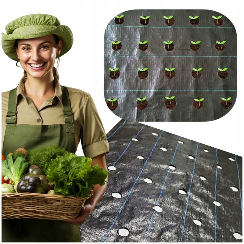 Agrotekstilė salotoms su skylutėmis 1,10x10 m daržovėms