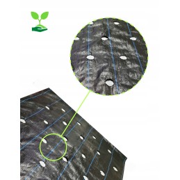 Agrotekstilė salotoms su skylutėmis 1,10x10 m daržovėms