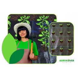 Agrotekstilė salotoms su skylutėmis 1,10x10 m daržovėms