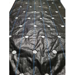 Agrotekstilė salotoms su skylutėmis 1,10x10 m daržovėms