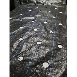 Agrotekstilė salotoms su skylutėmis 1,10x10 m daržovėms