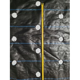 Agrotekstilė salotoms su skylutėmis 1,10x10 m daržovėms