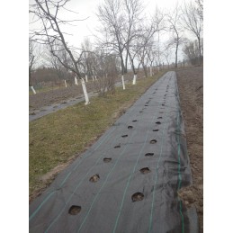 Agrotekstilė salotoms su skylutėmis 1,10x10 m daržovėms