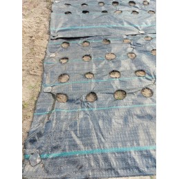 Agrotekstilė salotoms su skylutėmis 1,10x10 m daržovėms