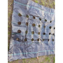 Agrotekstilė salotoms su skylutėmis 1,10x10 m daržovėms