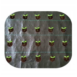 Žemės ūkio audinys su skylutėmis salotoms, agurkams, svogūnams, česnakams ir kt. 1,10 x 10 m su UV