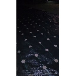 Žemės ūkio audinys su skylutėmis salotoms, agurkams, svogūnams, česnakams ir kt. 1,10 x 10 m su UV