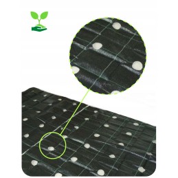 Žemės ūkio audinys su skylutėmis salotoms, agurkams, svogūnams, česnakams ir kt. 1,10 x 10 m su UV