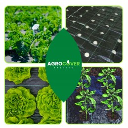 Žemės ūkio audinys su skylutėmis salotoms, agurkams, svogūnams, česnakams ir kt. 1,10 x 10 m su UV