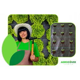 Žemės ūkio audinys su skylutėmis salotoms, agurkams, svogūnams, česnakams ir kt. 1,10 x 10 m su UV