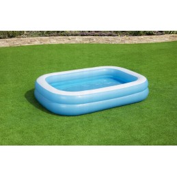 Bestway šeimos sodo baseinas 262x175x51 cm