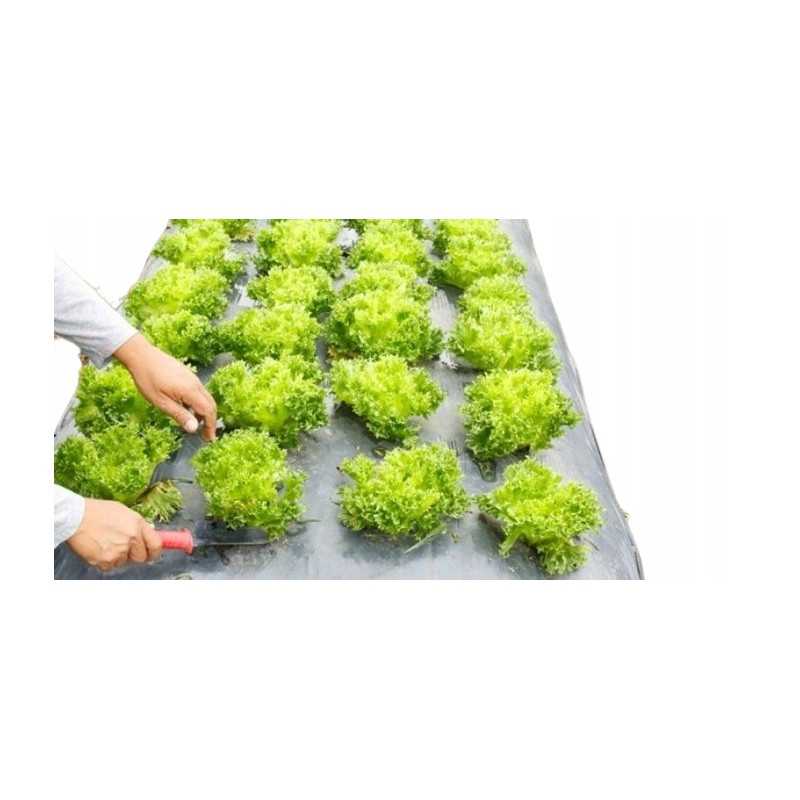 Kaip pateikti užsakymą