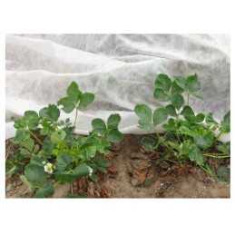 Agrotekstilė agrotekstilė įdėklas wigofil 1,5x5 m 30g baltas