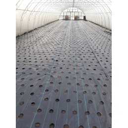 Kaip pateikti užsakymą