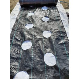 Agroaudiniai skylės 20cm sodinukams 0 8x10m