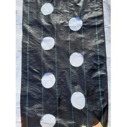 Agroaudiniai skylės 20cm sodinukams 0 8x10m