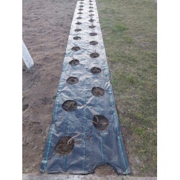 Agroaudiniai skylės 20cm sodinukams 0 8x10m