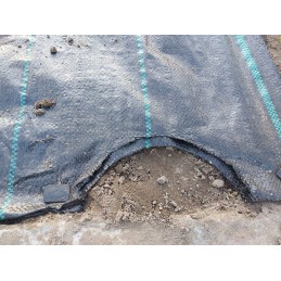 Agroaudiniai skylės 20cm sodinukams 0 8x10m