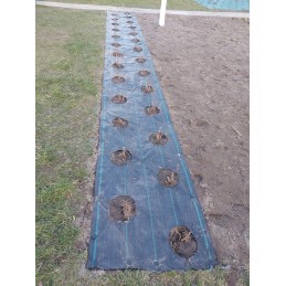 Agroaudiniai skylės 20cm sodinukams 0 8x10m