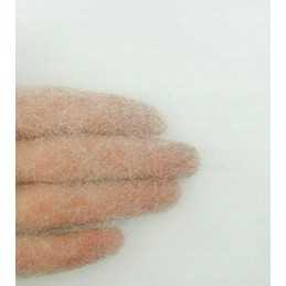 Bradas balta agrotekstilė 1,6m x 10m 17g/m²