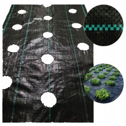Agromedžiaga su skylutėmis sodinukams, 3 eilės, dydis 110 cm x 10 m, 90g/m2