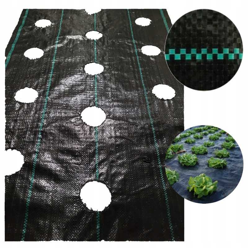 Agromedžiaga su skylutėmis sodinukams, 3 eilės, dydis 110 cm x 10 m, 90g/m2