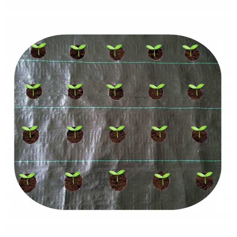 Kaip pateikti užsakymą