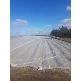 Balta agrotekstilė 6,35 m pločio p23 (23g/m2)