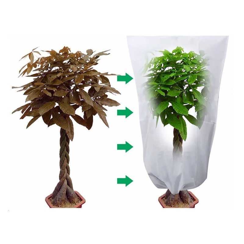 Žiemos apsauginis gaubtas agrotekstilė 50x80 cm uv