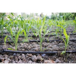 Sweating Aqua Drop drėkinimo žarna 50m Wad1 2050