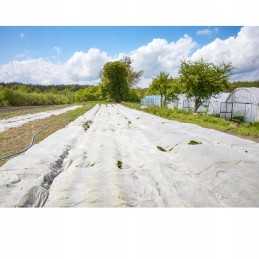 Agrotekstilė, balta, sodo spyruoklinis kilimėlis, 1,1 x 10 m, atsilikimas dengimui