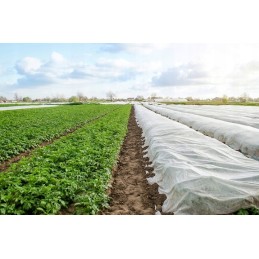 ⭐⭐Agrotekstilę dengiantis sodo neaustinis audinys 1,6x5m spyruoklinis baltas 17g atsilieka⭐⭐