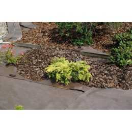 Ruda agrotekstilė 80g 320cm - kaina už metrą!